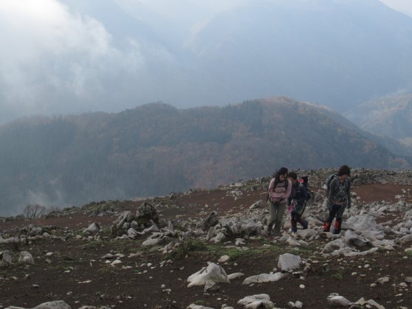 登山道